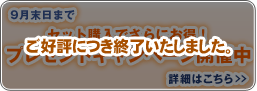 �V���Z�b�g�L�����y�[��